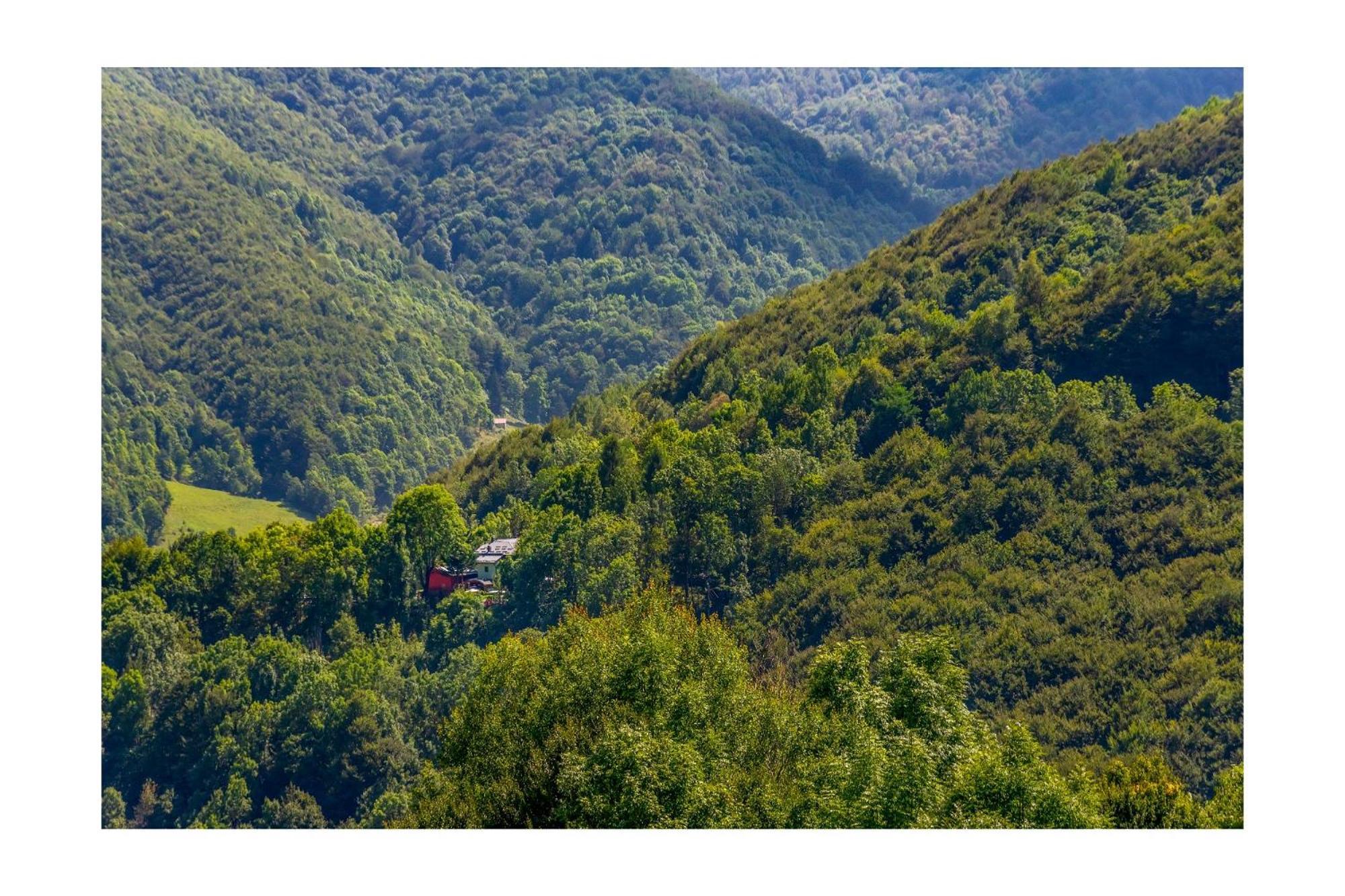 Hotel Chalet Bragard à Limone Piemonte Extérieur photo