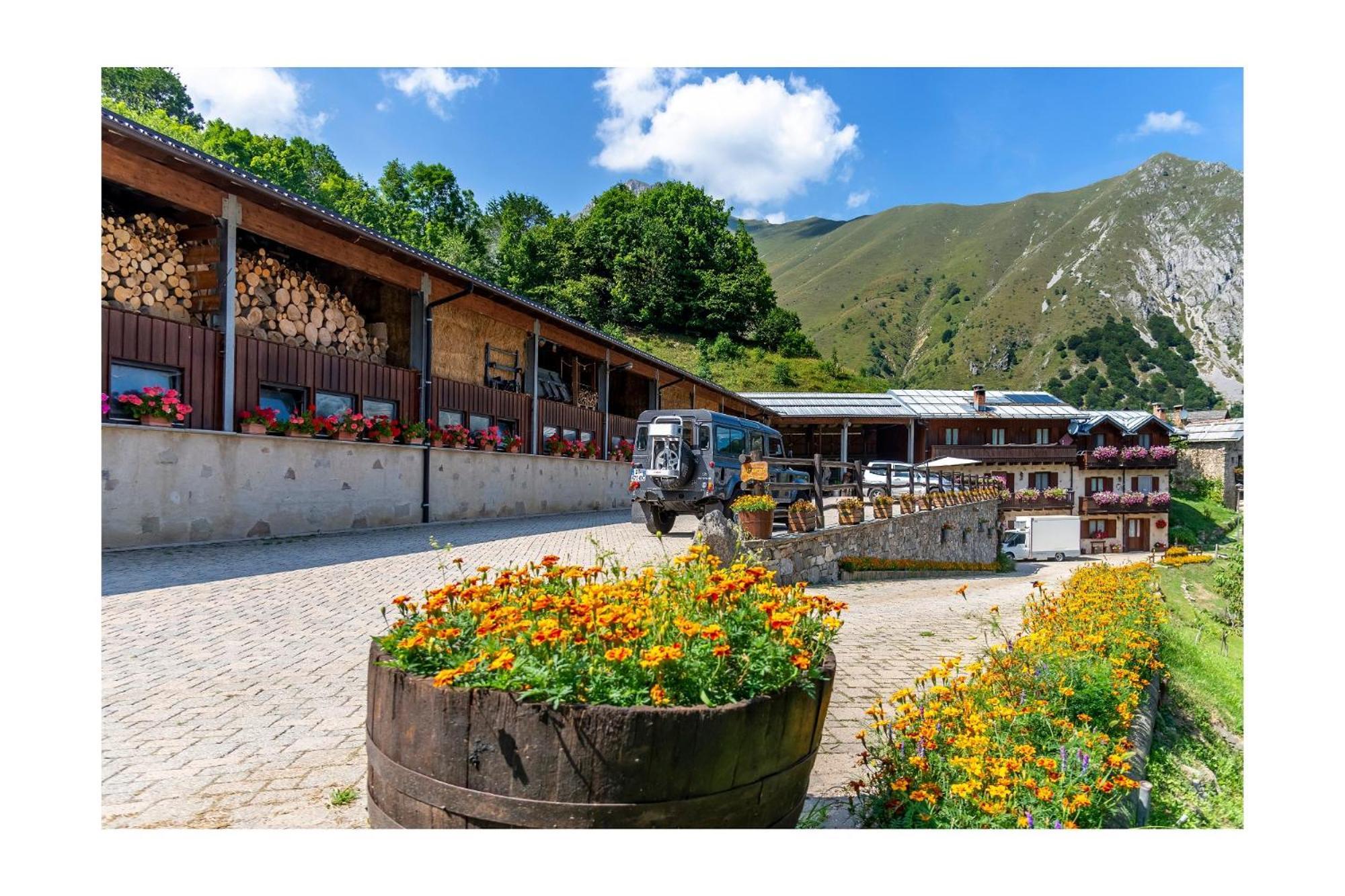 Hotel Chalet Bragard à Limone Piemonte Extérieur photo